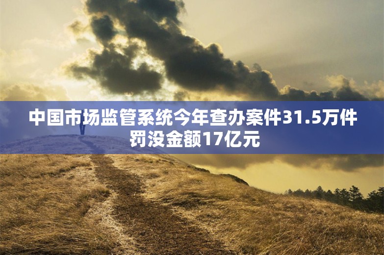 中国市场监管系统今年查办案件31.5万件 罚没金额17亿元