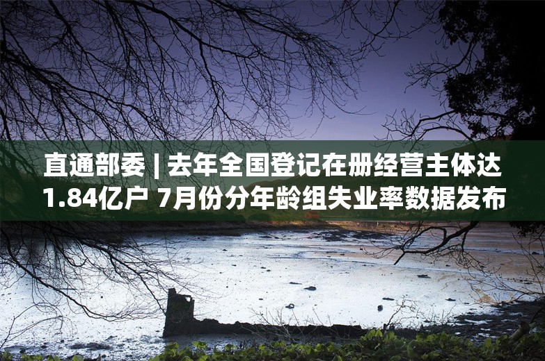 直通部委 | 去年全国登记在册经营主体达1.84亿户 7月份分年龄组失业率数据发布