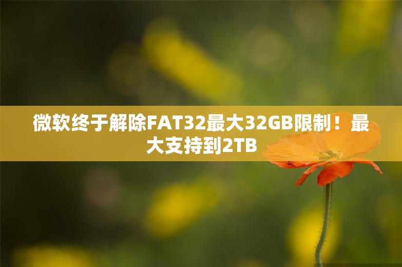 微软终于解除FAT32最大32GB限制！最大支持到2TB