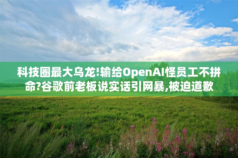 科技圈最大乌龙!输给OpenAI怪员工不拼命?谷歌前老板说实话引网暴,被迫道歉