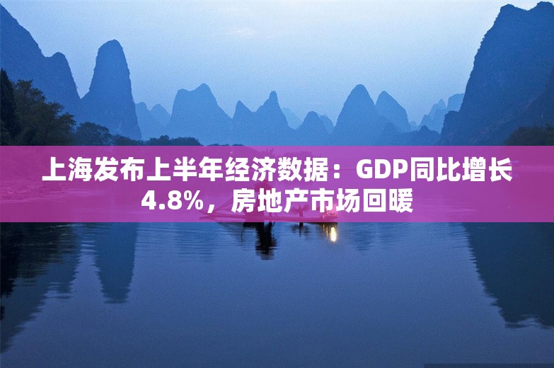 上海发布上半年经济数据：GDP同比增长4.8%，房地产市场回暖