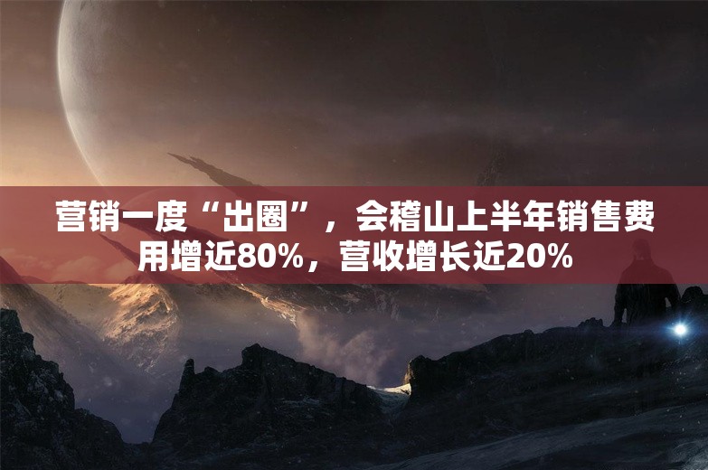 营销一度“出圈”，会稽山上半年销售费用增近80%，营收增长近20%