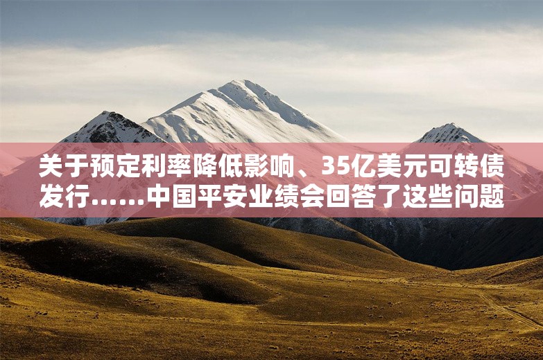 关于预定利率降低影响、35亿美元可转债发行……中国平安业绩会回答了这些问题