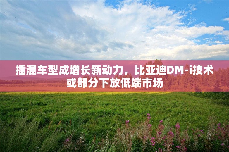 插混车型成增长新动力，比亚迪DM-i技术或部分下放低端市场