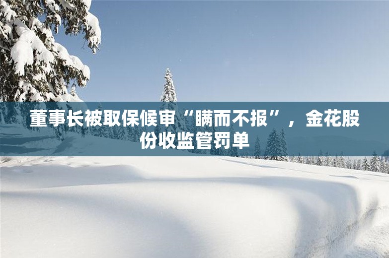 董事长被取保候审“瞒而不报”，金花股份收监管罚单