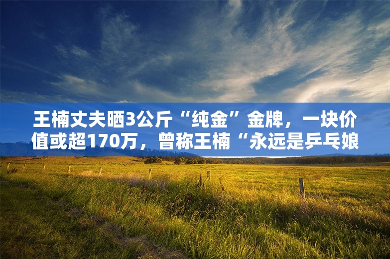 王楠丈夫晒3公斤“纯金”金牌，一块价值或超170万，曾称王楠“永远是乒乓娘家人”