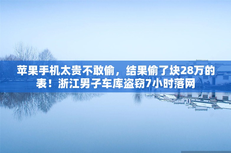 苹果手机太贵不敢偷，结果偷了块28万的表！浙江男子车库盗窃7小时落网