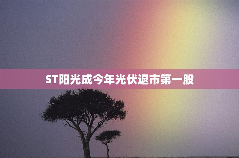 ST阳光成今年光伏退市第一股