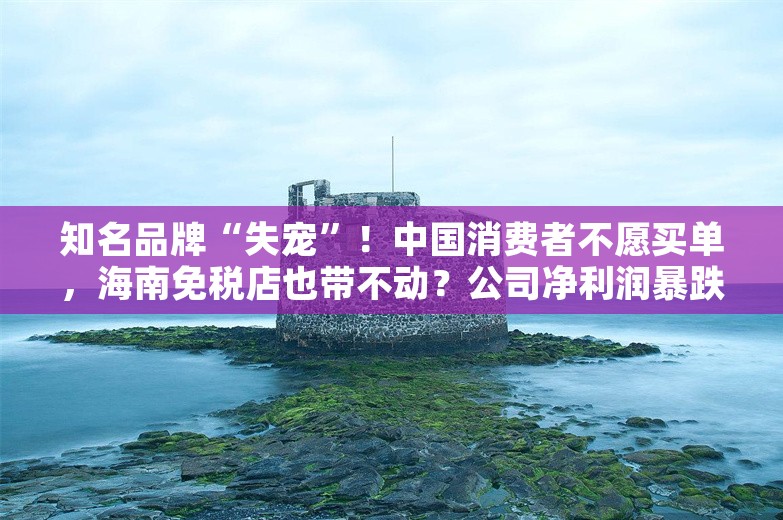 知名品牌“失宠”！中国消费者不愿买单，海南免税店也带不动？公司净利润暴跌61%，CEO也将退休