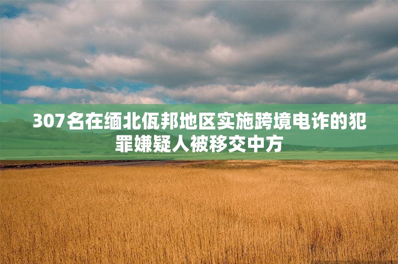 307名在缅北佤邦地区实施跨境电诈的犯罪嫌疑人被移交中方