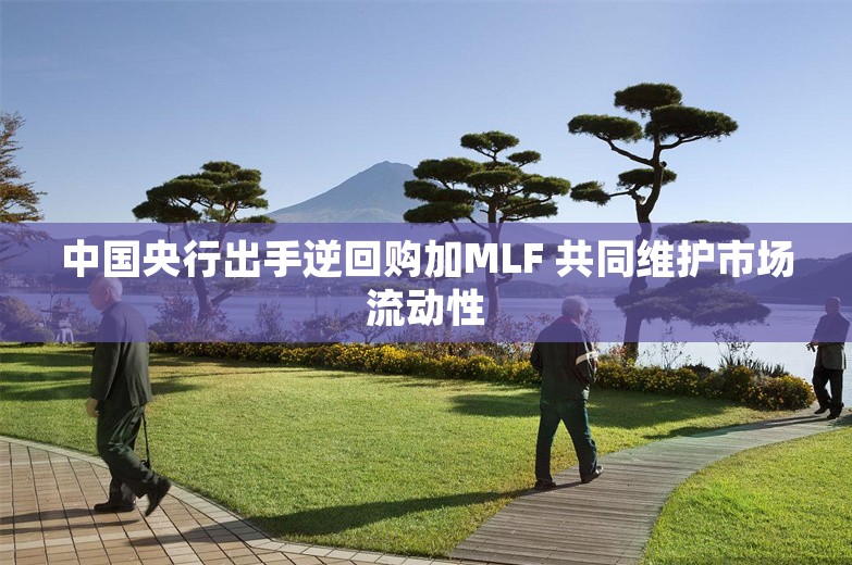 中国央行出手逆回购加MLF 共同维护市场流动性