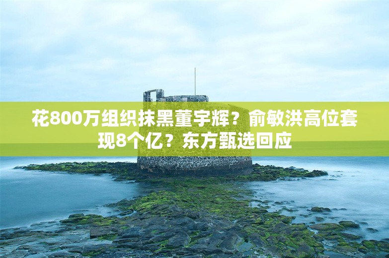 花800万组织抹黑董宇辉？俞敏洪高位套现8个亿？东方甄选回应