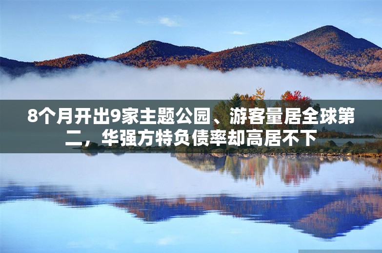 8个月开出9家主题公园、游客量居全球第二，华强方特负债率却高居不下