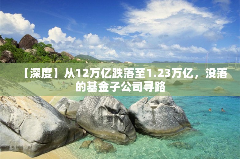 【深度】从12万亿跌落至1.23万亿，没落的基金子公司寻路