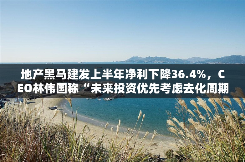 地产黑马建发上半年净利下降36.4%，CEO林伟国称“未来投资优先考虑去化周期”