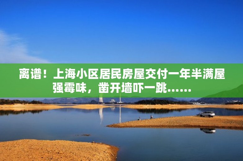 离谱！上海小区居民房屋交付一年半满屋强霉味，凿开墙吓一跳……