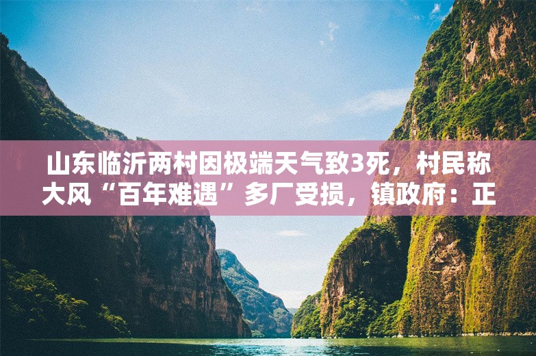 山东临沂两村因极端天气致3死，村民称大风“百年难遇”多厂受损，镇政府：正抢修电力