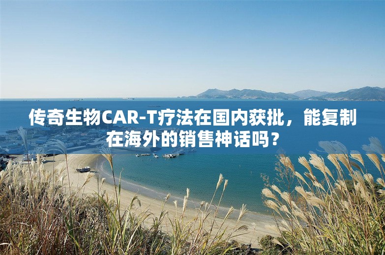 传奇生物CAR-T疗法在国内获批，能复制在海外的销售神话吗？