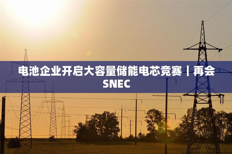 电池企业开启大容量储能电芯竞赛｜再会SNEC