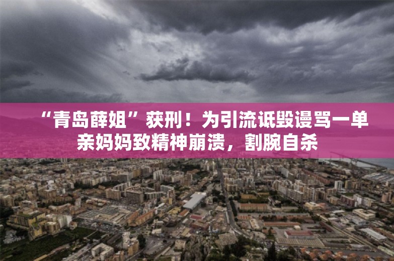 “青岛薛姐”获刑！为引流诋毁谩骂一单亲妈妈致精神崩溃，割腕自杀