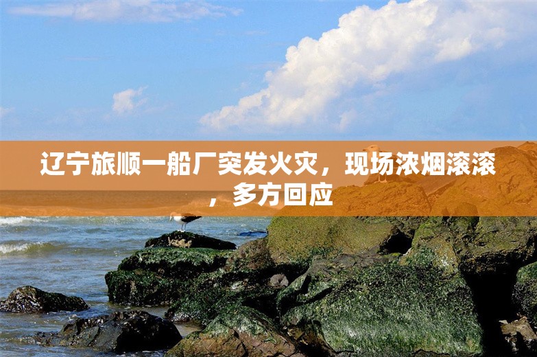 辽宁旅顺一船厂突发火灾，现场浓烟滚滚，多方回应