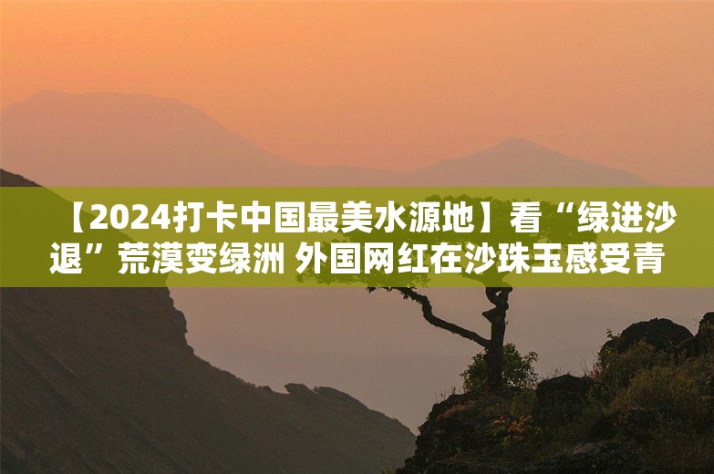 【2024打卡中国最美水源地】看“绿进沙退”荒漠变绿洲 外国网红在沙珠玉感受青海的绿色力量（组图）