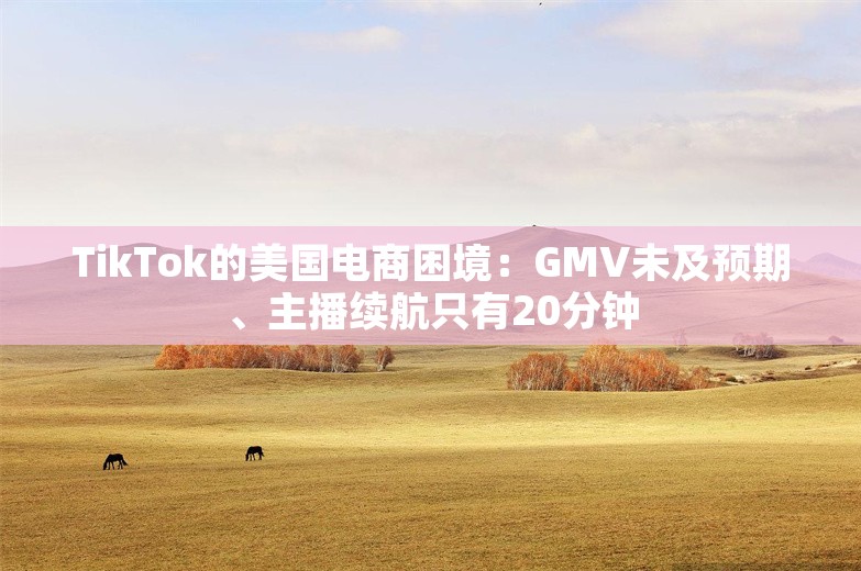 TikTok的美国电商困境：GMV未及预期、主播续航只有20分钟