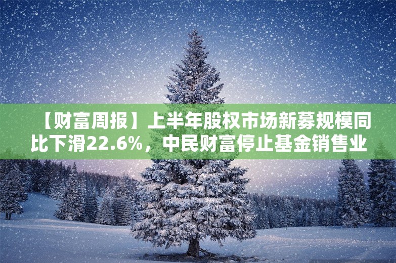 【财富周报】上半年股权市场新募规模同比下滑22.6%，中民财富停止基金销售业务