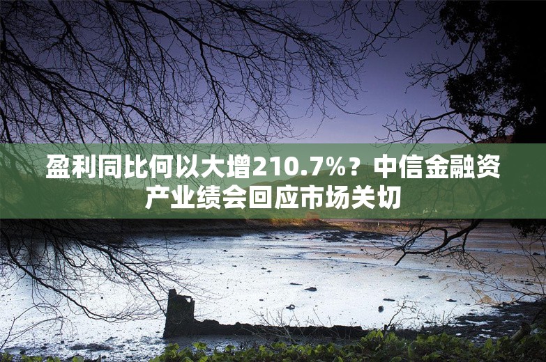 盈利同比何以大增210.7%？中信金融资产业绩会回应市场关切