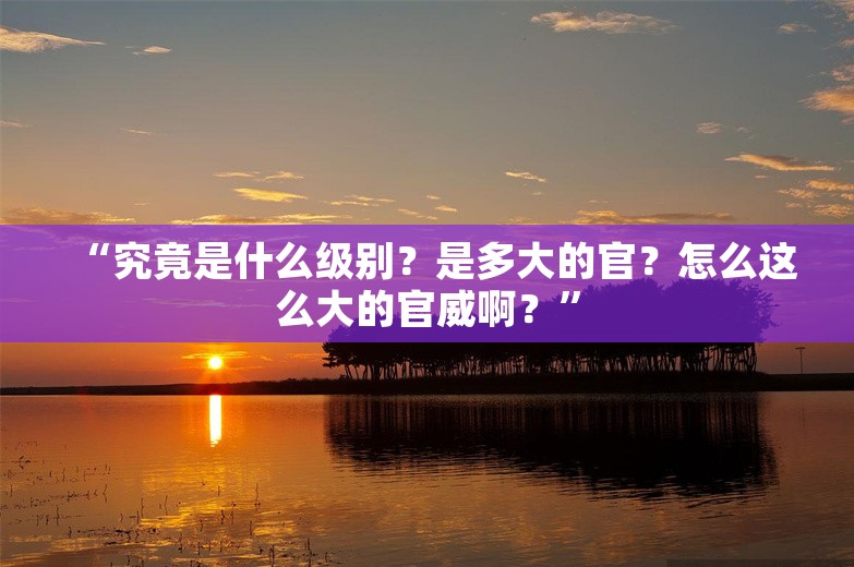 “究竟是什么级别？是多大的官？怎么这么大的官威啊？”