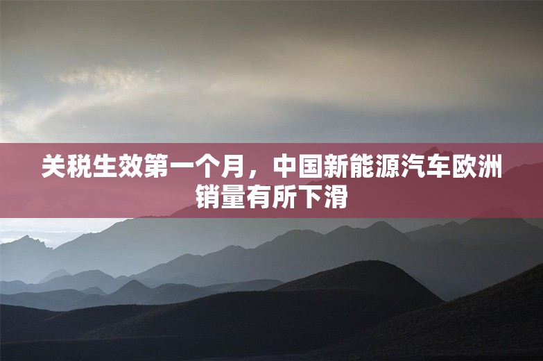 关税生效第一个月，中国新能源汽车欧洲销量有所下滑