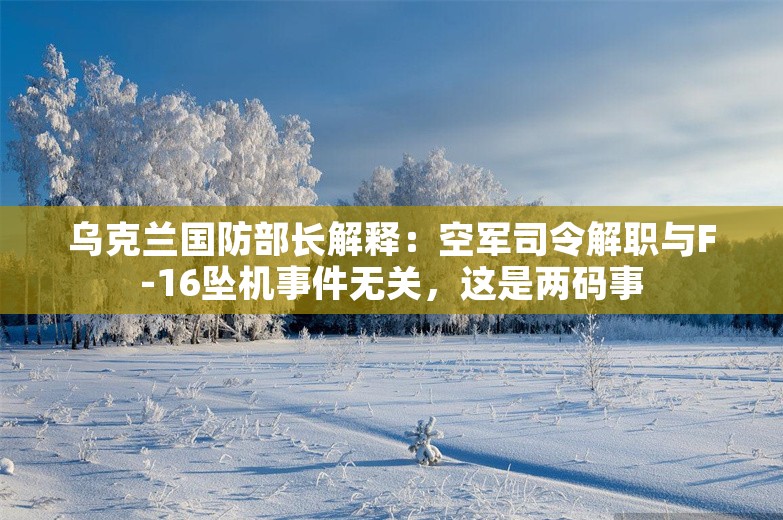 乌克兰国防部长解释：空军司令解职与F-16坠机事件无关，这是两码事