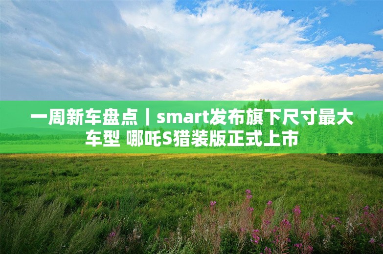 一周新车盘点｜smart发布旗下尺寸最大车型 哪吒S猎装版正式上市