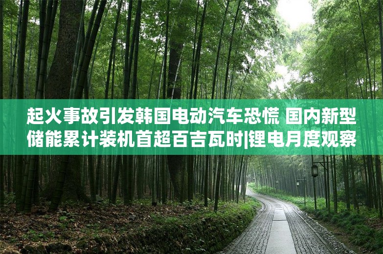 起火事故引发韩国电动汽车恐慌 国内新型储能累计装机首超百吉瓦时|锂电月度观察⑧