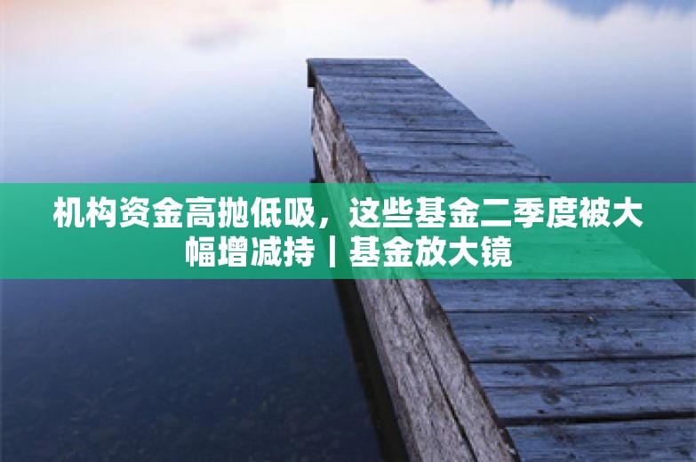 机构资金高抛低吸，这些基金二季度被大幅增减持｜基金放大镜