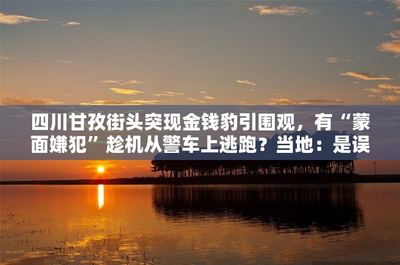 四川甘孜街头突现金钱豹引围观，有“蒙面嫌犯”趁机从警车上逃跑？当地：是误会