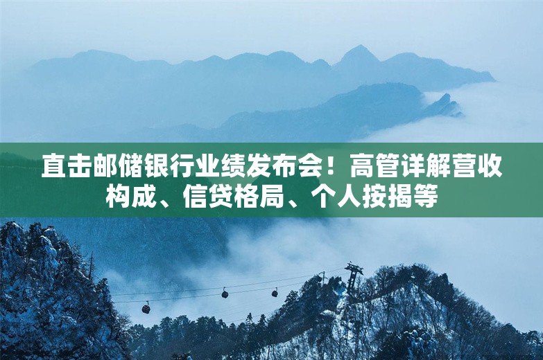 直击邮储银行业绩发布会！高管详解营收构成、信贷格局、个人按揭等