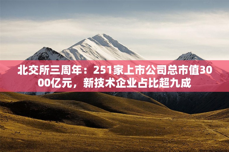 北交所三周年：251家上市公司总市值3000亿元，新技术企业占比超九成