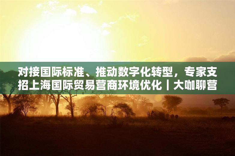 对接国际标准、推动数字化转型，专家支招上海国际贸易营商环境优化｜大咖聊营商