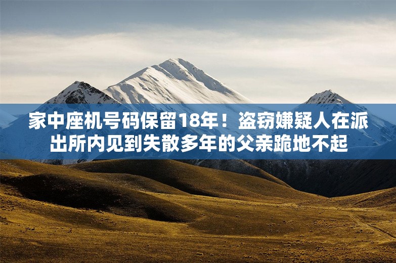 家中座机号码保留18年！盗窃嫌疑人在派出所内见到失散多年的父亲跪地不起