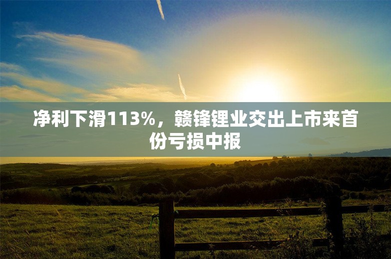 净利下滑113%，赣锋锂业交出上市来首份亏损中报