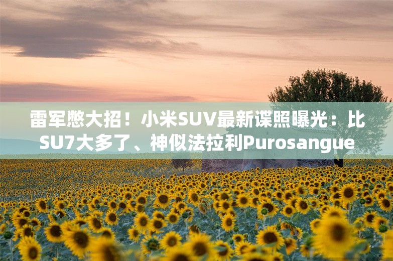 雷军憋大招！小米SUV最新谍照曝光：比SU7大多了、神似法拉利Purosangue