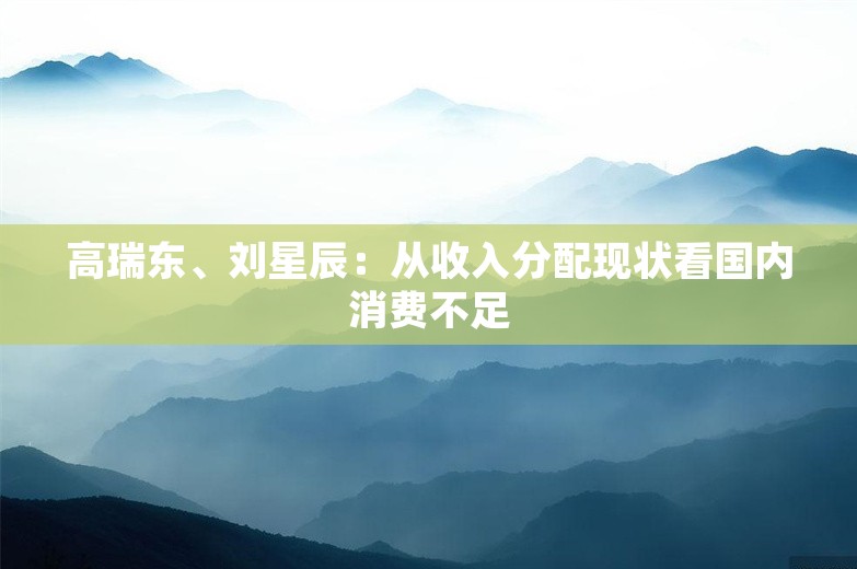 高瑞东、刘星辰：从收入分配现状看国内消费不足