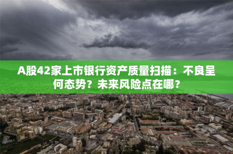 A股42家上市银行资产质量扫描：不良呈何态势？未来风险点在哪？