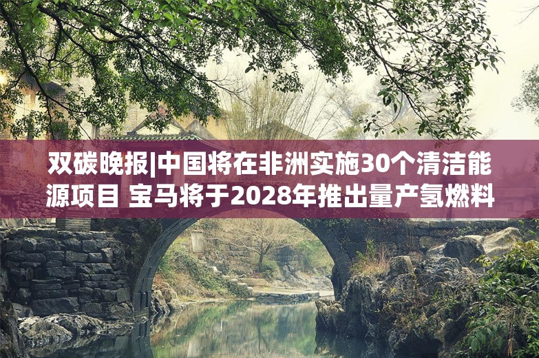 双碳晚报|中国将在非洲实施30个清洁能源项目 宝马将于2028年推出量产氢燃料电池车