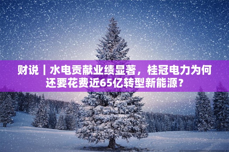 财说｜水电贡献业绩显著，桂冠电力为何还要花费近65亿转型新能源？