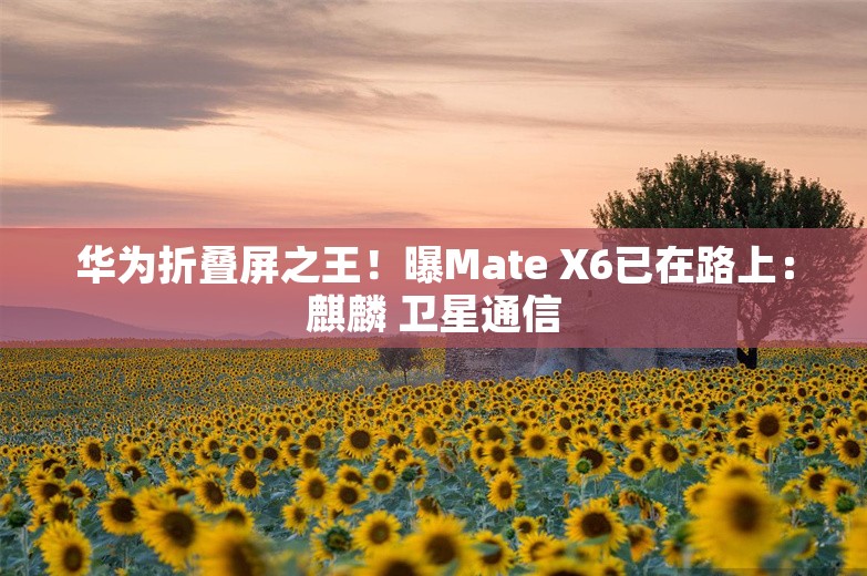 华为折叠屏之王！曝Mate X6已在路上：麒麟 卫星通信