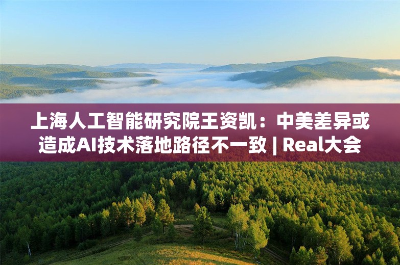 上海人工智能研究院王资凯：中美差异或造成AI技术落地路径不一致 | Real大会