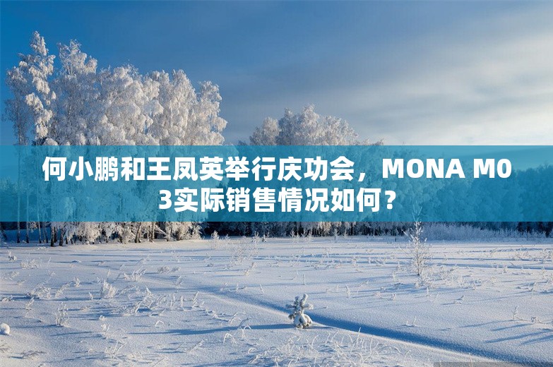 何小鹏和王凤英举行庆功会，MONA M03实际销售情况如何？