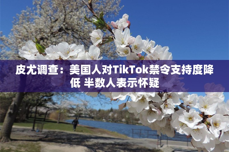 皮尤调查：美国人对TikTok禁令支持度降低 半数人表示怀疑